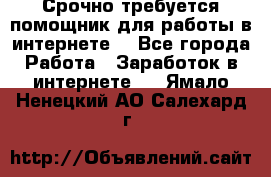Срочно требуется помощник для работы в интернете. - Все города Работа » Заработок в интернете   . Ямало-Ненецкий АО,Салехард г.